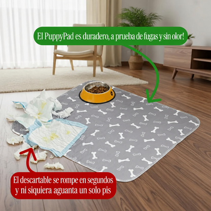 PawGo — Alfombra Sanitaria Inteligente