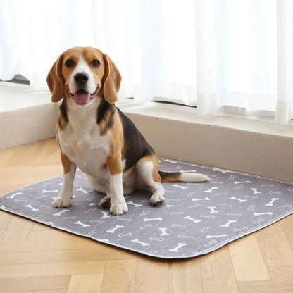 PawGo — Alfombra Sanitaria Inteligente