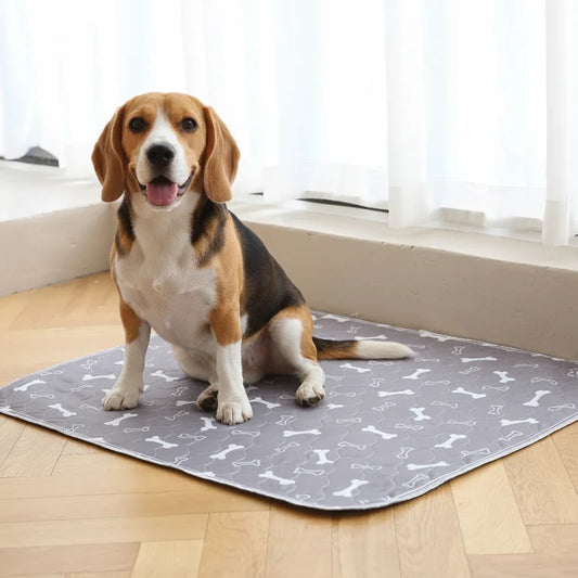 PawGo — Alfombra Sanitaria Inteligente