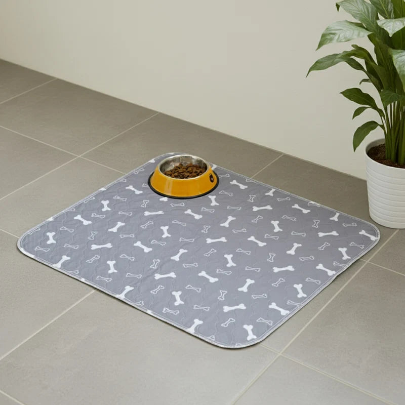 PawGo — Alfombra Sanitaria Inteligente