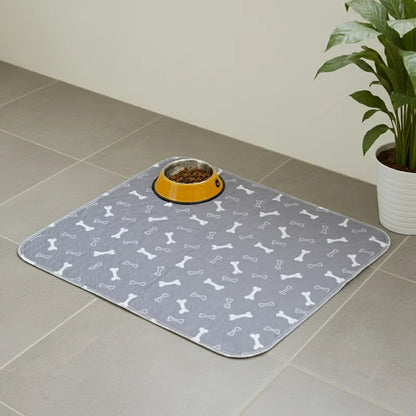 PawGo — Alfombra Sanitaria Inteligente