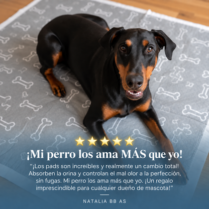 PawGo — Alfombra Sanitaria Inteligente