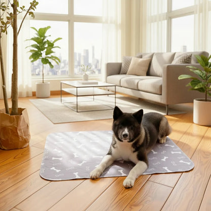 PawGo — Alfombra Sanitaria Inteligente