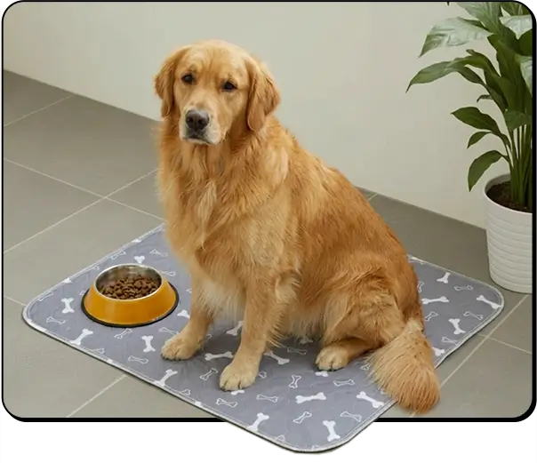 El primer paño pensado para cómo piensa tu perro